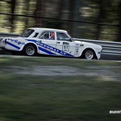 dzintara volga-4841